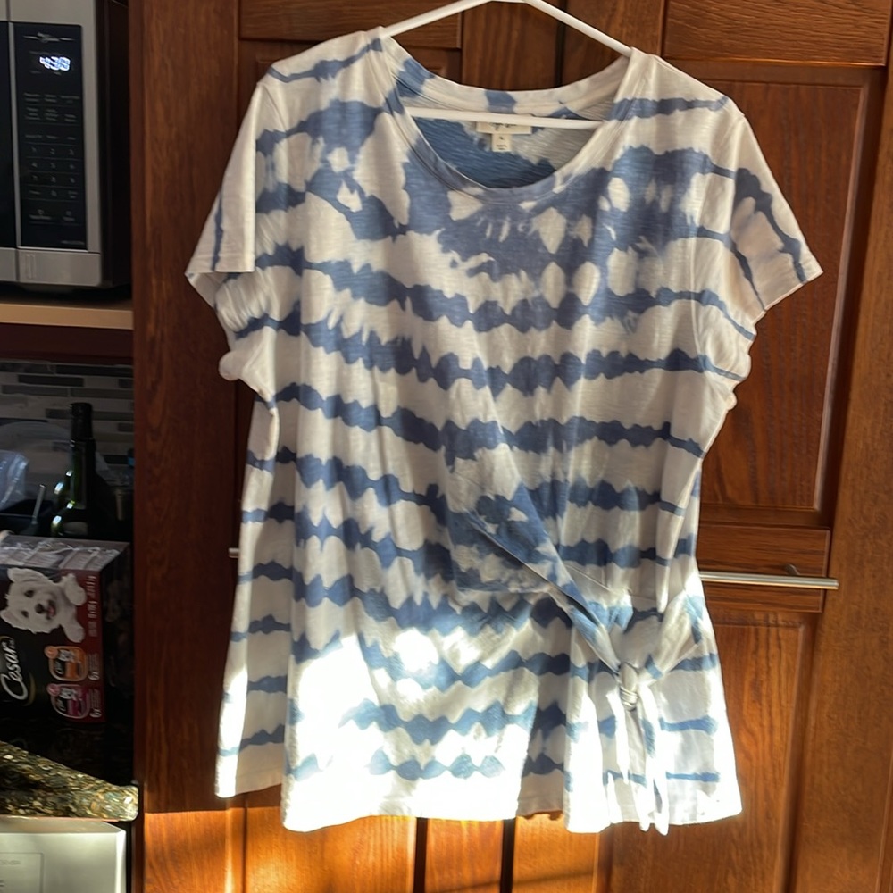 Style & Co 100% Cotton Shirt